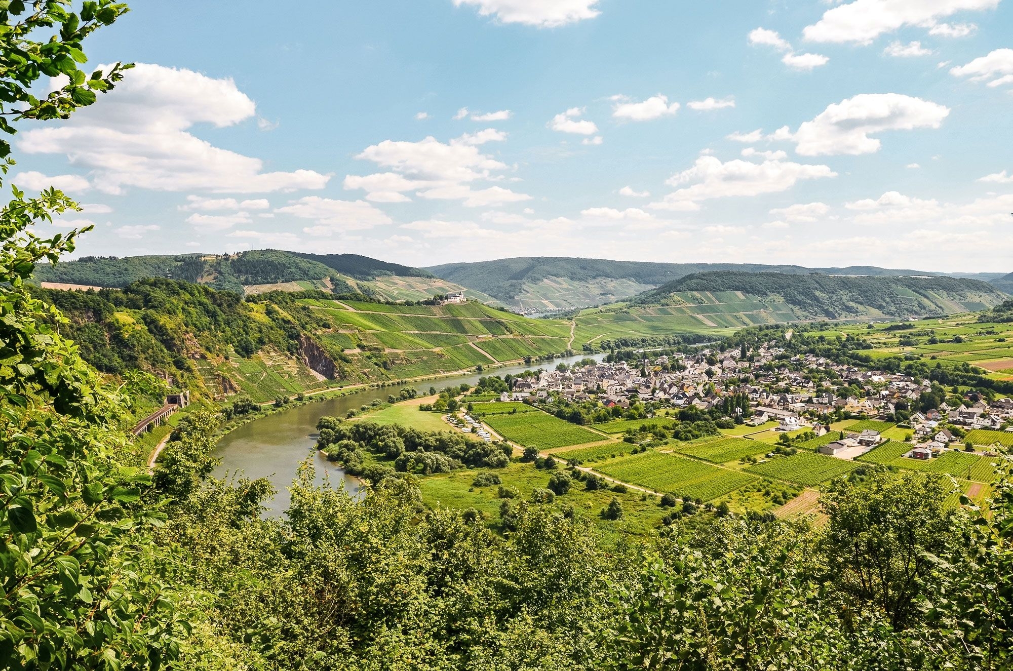 Himmelblick auf eine grüne Landschaft mit Weinbergen.