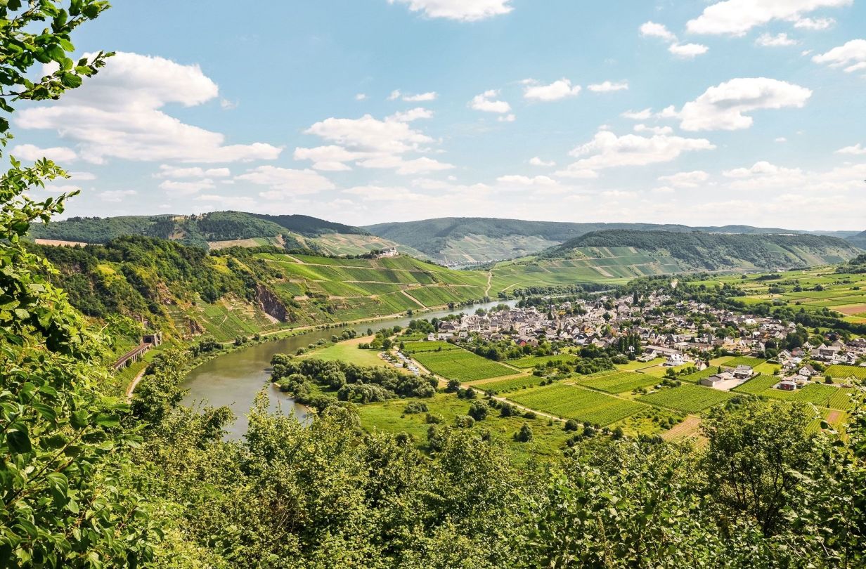 Im Netzgebiet der energienetze mittelrhein